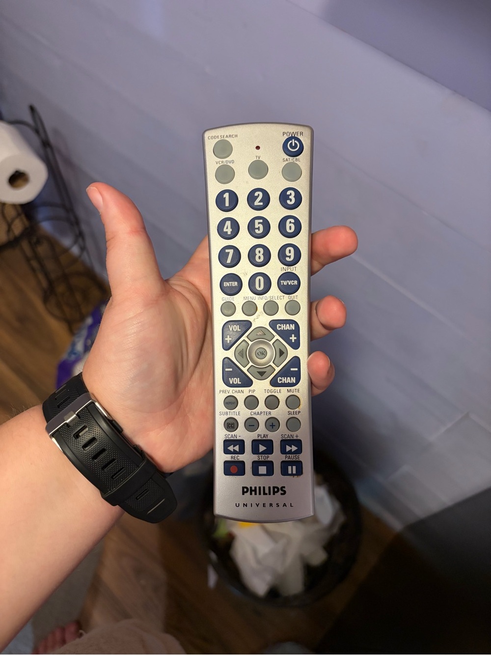 Philips Silver Remote with Blue Buttons